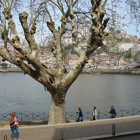 Estudio Com Vistas Rio Douro Vila Nova de Gaia
